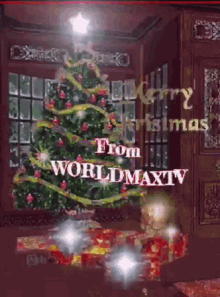 merry christmas chritmas tree from worldsmaxtv
