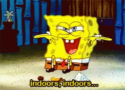 Spongebob Indoors GIF - Spongebob Indoors GIFs