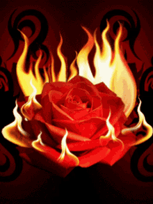 Fire Rose Sensual GIF - Fire Rose Sensual Love GIFs