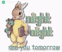 Night Night See You Tomorrow Gifkaro GIF - Night Night See You Tomorrow Gifkaro Rabbit GIFs