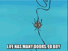 Life Has Many Doors Ed Boy Many Doors Yes GIF - Life Has Many Doors Ed Boy Ed Boy Many Doors Yes GIFs