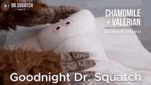 Goodnight Dr Squatch Goodnight Doctor Squatch GIF - Goodnight Dr Squatch Goodnight Doctor Squatch Dr Squatch GIFs