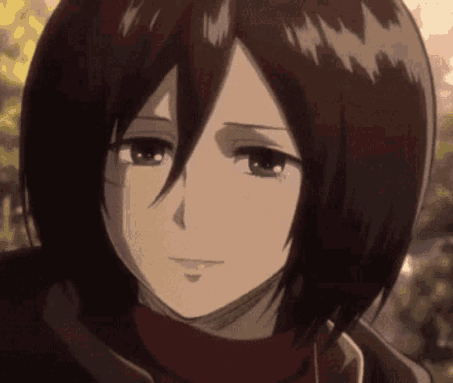 Mikasa GIF - Mikasa - Discover & Share GIFs
