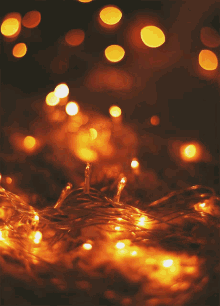 Christmas Lights Twinkling GIF - Christmas Lights Twinkling Holiday Lights GIFs