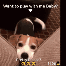 Play With Me Please GIF - Play With Me Please Pleading GIFs