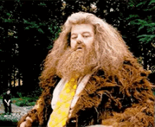 Let Me Think GIF - Harry Potter Hagrid Think GIFs
