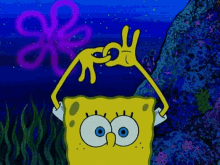 sponge bob ok magic trick sponge bob ok magic trick