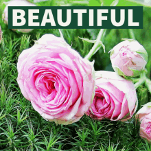 beautiful jesus victoriabea4roses beautiful jesus victoriabea4roses