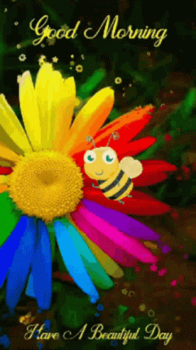 Good Morning GIF - Good Morning GIFs