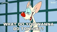 what do you wanna do tonight pinky animaniacs what do you have in mind any plans what do you wanna do tonight pinky animaniacs what do you have in mind any plans