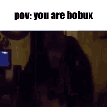 Bobux Roblox GIF - Bobux Roblox When The GIFs