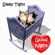 Good Night Sleep Tight Sleep Well GIF - Good Night Sleep Tight Sleep Well Sweet Dreams GIFs