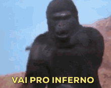 Vai Pro Inferno / Irritado / Indignado / ódio / Raiva / Macaco GIF - Monkey Go To Hell Angry GIFs