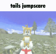 Tails Tails Sonic GIF - Tails Tails Sonic Sonic Adventure GIFs