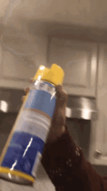 Lysol Spray Spraying GIF - Lysol Spray Spraying Disinfectant GIFs