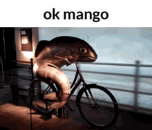 Ok Mango Mango Ok GIF - Ok Mango Mango Ok Okay Mango GIFs