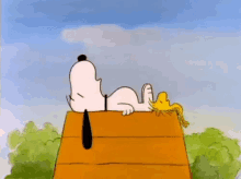 Cute GIF - Snoopy Peanuts Woodstock GIFs