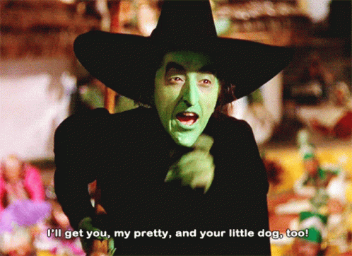 Wicked Witch Ill Get You GIF.
