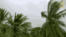 Windy When Sharks Attack GIF - Windy When Sharks Attack Calming Landscape GIFs