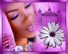 gina101 he loves me pink daisy beauty gina101 he loves me pink daisy beauty
