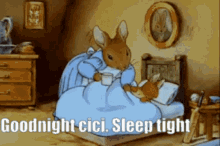 Goodnight Cici GIF - Goodnight Cici GIFs