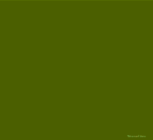Green Sea GIF - Green Sea Ocean GIFs