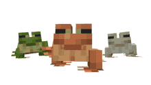 Kingbdogz Frogs GIF - Kingbdogz Frogs Minecraft GIFs