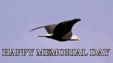 Happy Memorial Day Memorialday GIF - Bald Eagle Memorial Day GIFs
