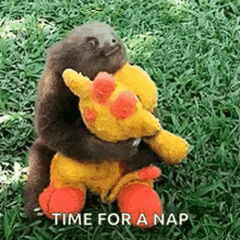 Sloth Cute GIF - Sloth Cute Hugs GIFs