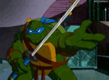 Leonardo Ninja Turtles GIF - Leonardo Ninja Turtles Tmnt GIFs