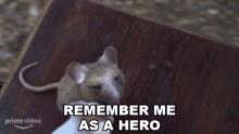 cinderella mice