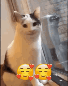 Smiling Smiling Cat GIF - Smiling Smiling Cat Cat GIFs