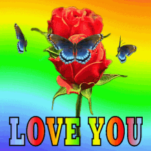 Love You Red Rose Red Roses GIF - Love You Red Rose Red Roses Rose GIFs