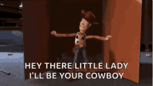 woody howdy cowboy toy story
