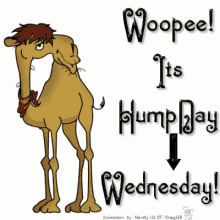 Wednesday Woope GIF - Wednesday Woope Humd Day GIFs