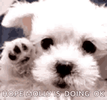 Good Bye Dog GIF - Good Bye Dog Hope Molly Is Doing Okay GIFs