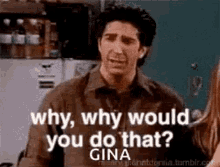 Why Would You Do That Ross Geller GIF - Why Would You Do That Ross Geller David Schwimmer GIFs