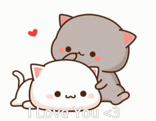 I Love You Mochi Mochi Peach Cat Gif I Love You Mochi Mochi Peach Cat Pet Head Discover Share Gifs