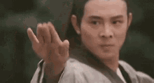 tai chi kong fu martial arts jet li li lian jie