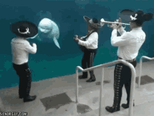 Bailando GIF - Mariachi Delfin Acuario GIFs
