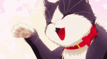 Haru Cat GIF - Haru Cat Doukyonin Wa Hiza Tokidoki Atama No Ue GIFs