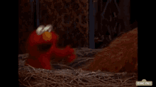 Elmo Snuffy GIF - Elmo Snuffy Gotcha GIFs