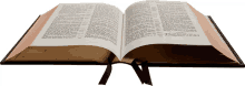 biblia santa escritura book open book read