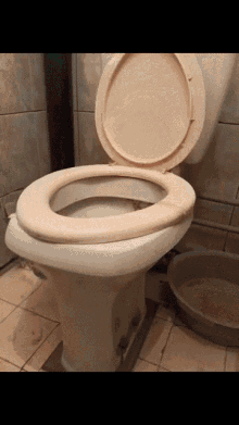 phonk toilet