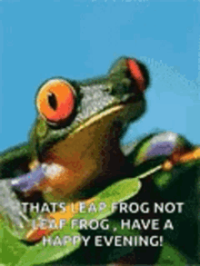 Frog Smiling GIF - Frog Smiling Animated GIFs