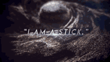 Captured In Words I Am A Stick GIF - Captured In Words I Am A Stick Stormlight GIFs