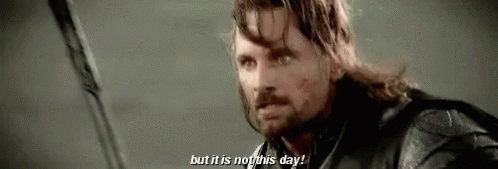 Lord Of The Rings Lotr GIF - Lord Of The Rings LOTR Viggo Mortensen -  Descubre & Comparte GIFs