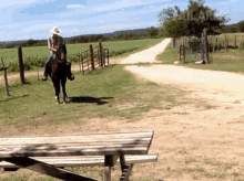 Rodeo Horse GIF - Rodeo Horse Fail GIFs