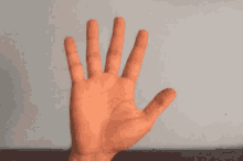 Hand Waving GIF - Hand Waving Hello GIFs