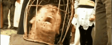 bees nicholas cage the wicker man horror sting bees nicholas cage the wicker man horror sting